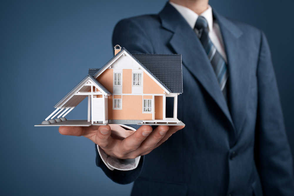 Your Property